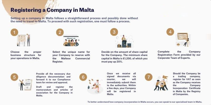 New Company Formation Infographic